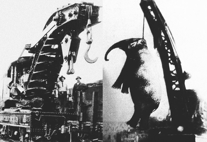 [Изображение: photo-2026-03-30-11-59-06.jpg]