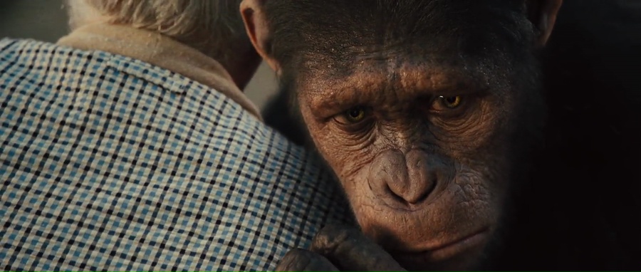Rise of the Planet of the Apes 2011 WebRip [Hindi + Tamil + Telugu + English] 480p, 720p, 1080p ESub Screenshot
