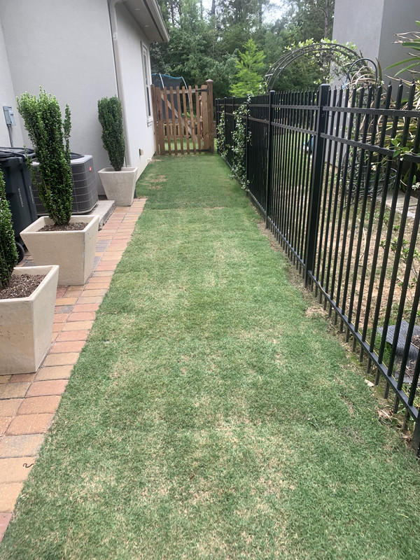 EB072F70-69B8-4403-8B1A-71E9CA4950BD