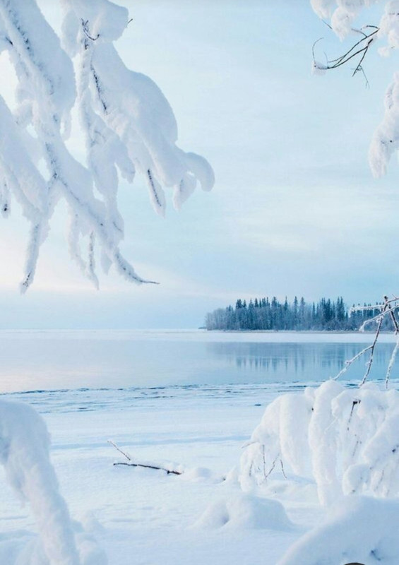 Screenshot_20230831_232056_Pinterest