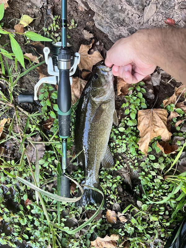 1C7D072F-CF1B-4E0C-8AB2-325C7F1D66E7