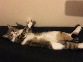 C2469907-2-B19-4-D15-8185-F26255-BDCEFC.