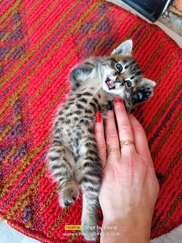 WhatsApp Image 2024-02-25 at 12.43.17 (1)