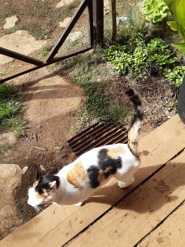 [Image: 20240318-112616.jpg]