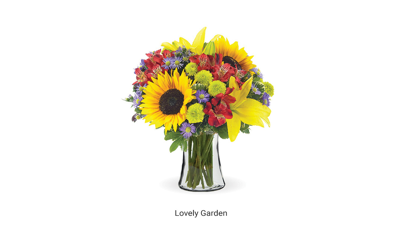 Lovely Garden