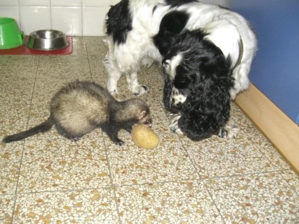 28799F53-73F7-447C-99F8-C5A1B2A91926