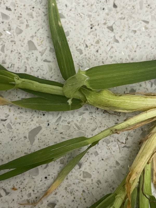 7D61D09E-B120-42B6-B27E-9CC94B7E67EB