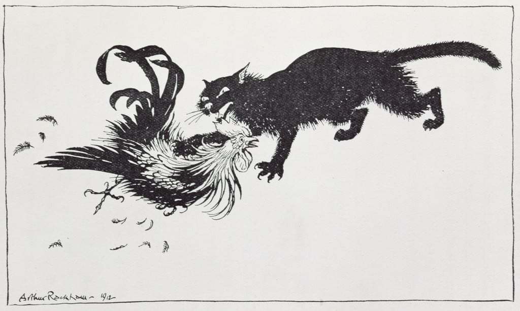 3-Arthur-Rackham-The-Cat-and-the-Cock-illustration-from-Aesops-Fables-published-by-Heinemann-1912