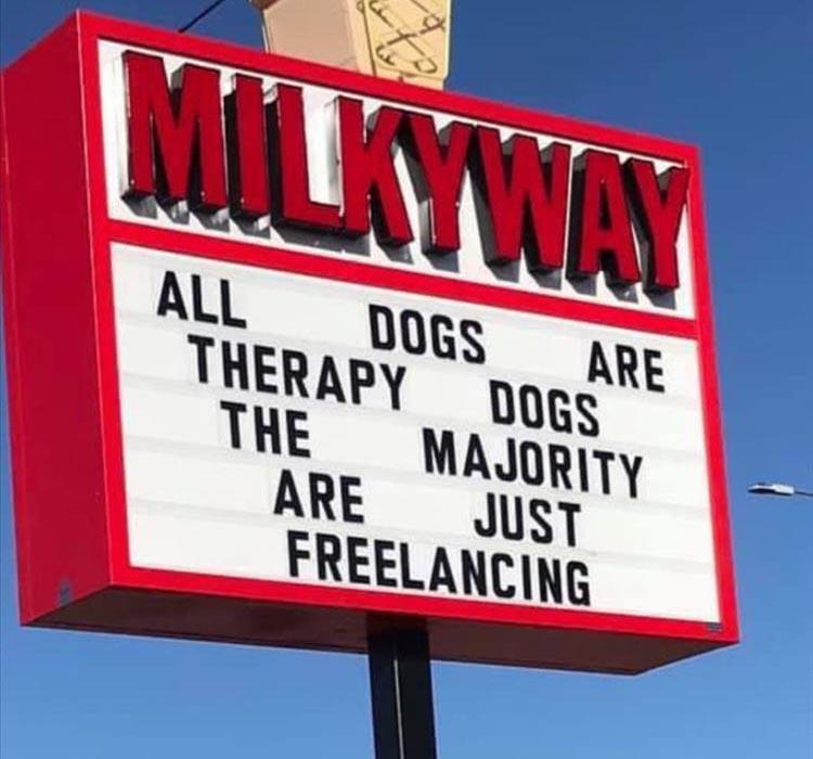 freelancing_therapy_dogs.jpg