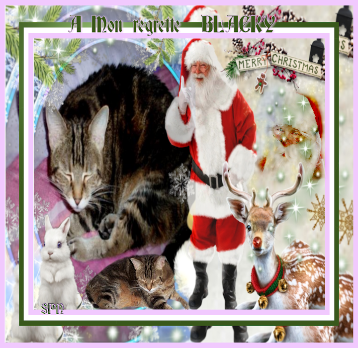 BLACKY-NOEL