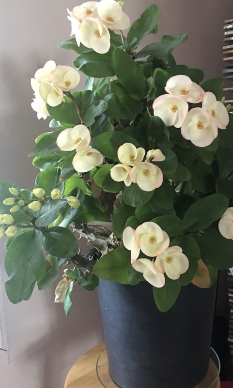 3FA7BEE1-6F42-47DD-84A1-37FA3103CA3E