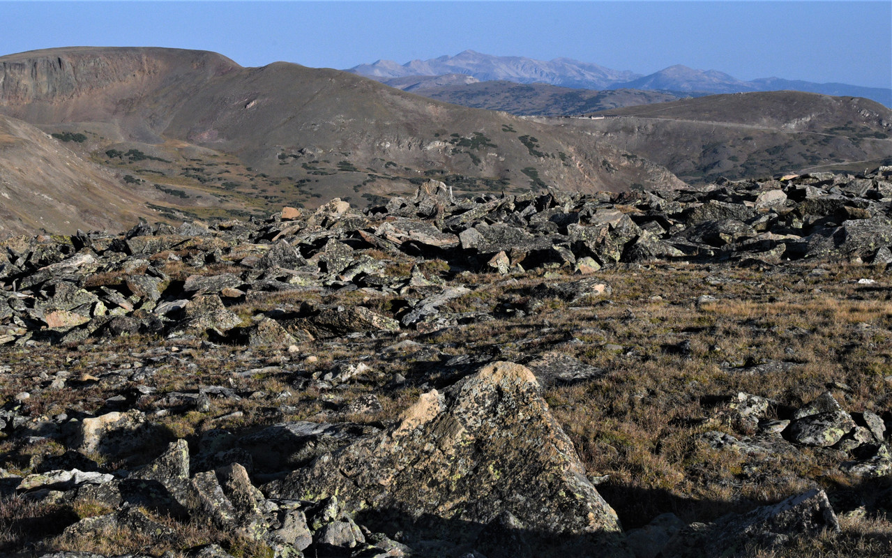 c6