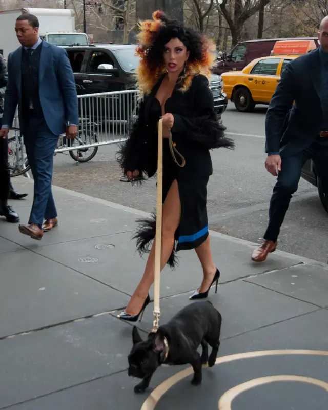 12-2-14-Arriving-at-her-apartment-in-NYC