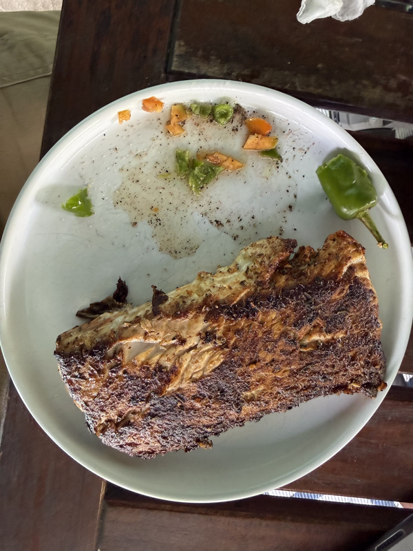 Peppers Fish 4 26