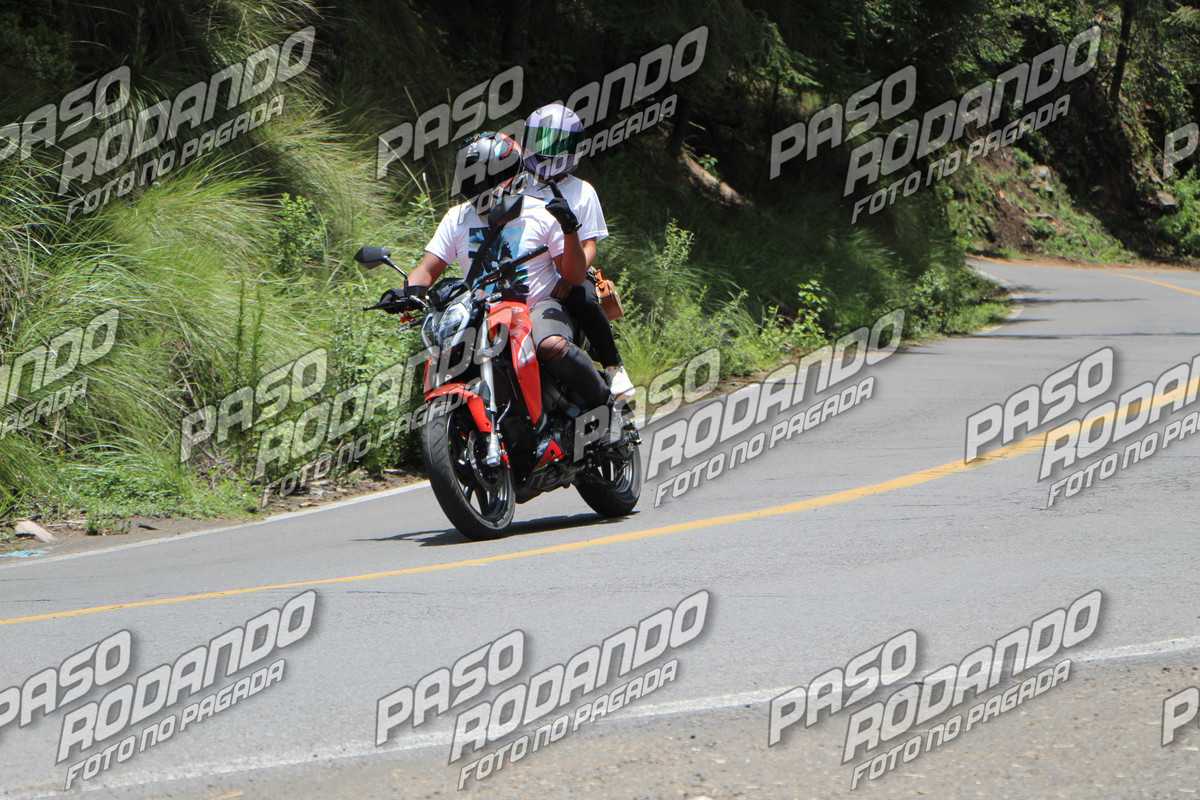 IMG 7564 wm 225995 7000000002 watermarked — Postimages