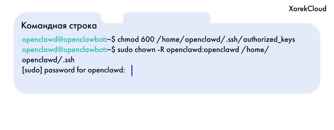 cmd