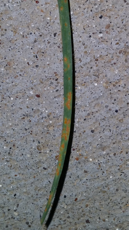 Screenshot_2017-06-14-19-40-23