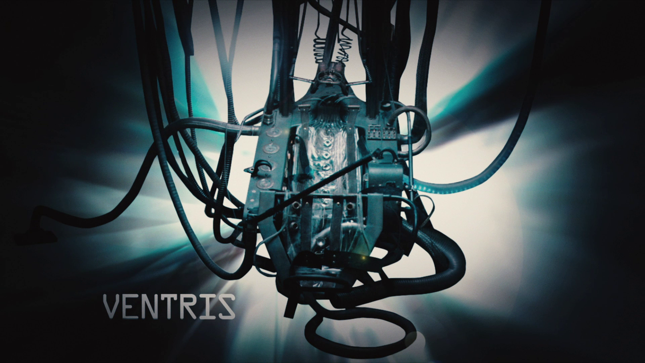 vlcsnap-2023-03-13-12h06m58s339