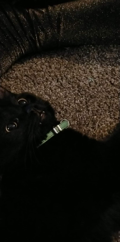 received_872041693368383