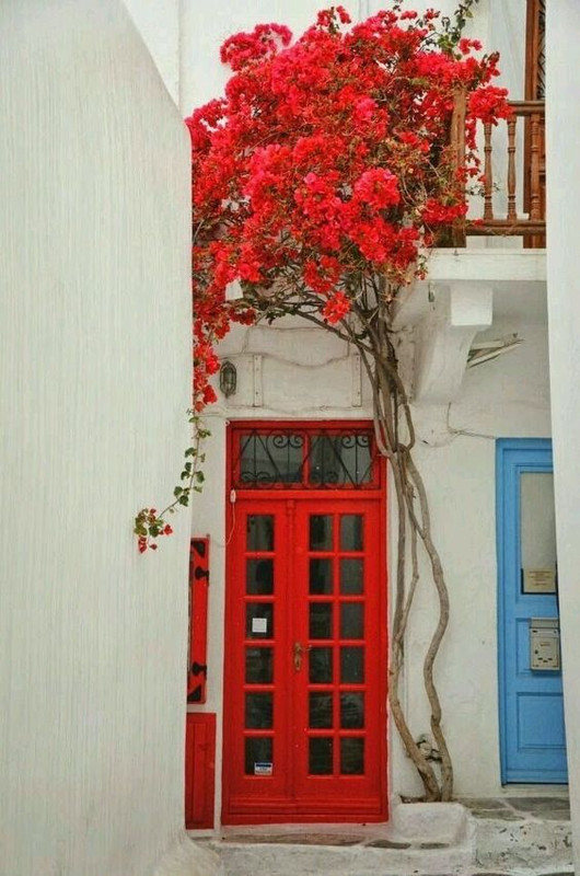 red-front-door-flowers.jpg