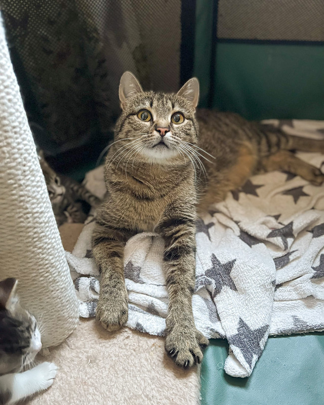 42F41CBF-4949-4840-9DFE-0284145E7B5F