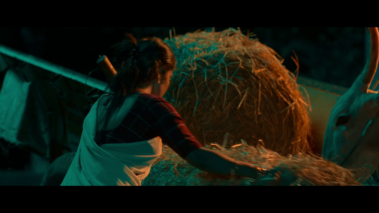 vlcsnap 2025 11 01 14h29m37s170