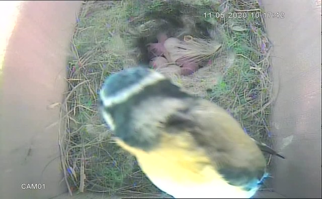 I’ll be back in a minute