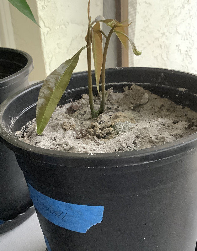 3418C82C-D7AB-4FB9-9755-13E22E11E951