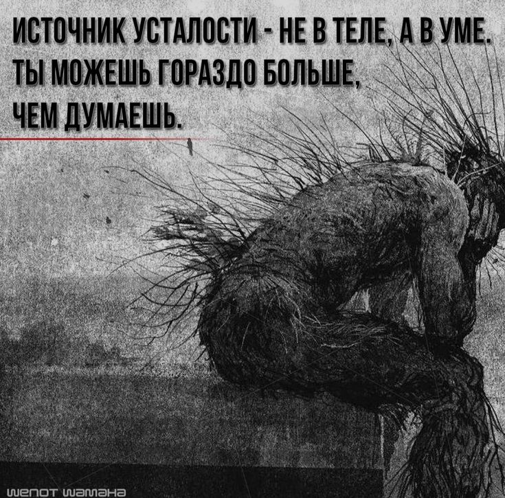 [Изображение: 2f295644bca73fa47452dc7b8a893c95-(1).jpg]