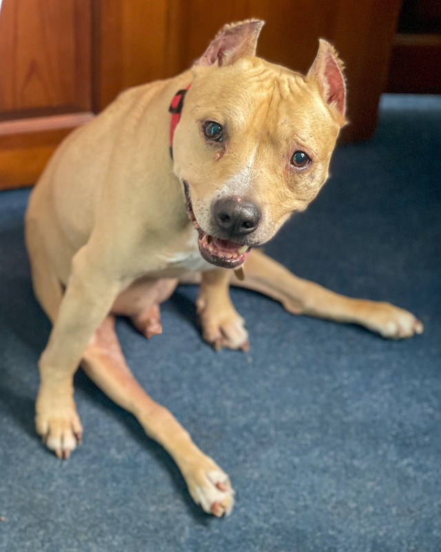 51A1A307-31B4-4D29-B87C-88484A72C3CB