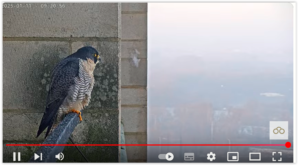 Screen Shot 01-11-25 at 09.21 AM