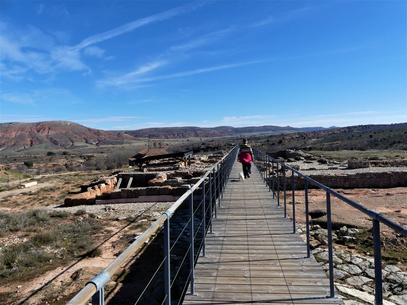 YACIMIENTO ARQUEOLOGICO DE TIERMES-16-2-2020 - Soria y sus pueblos-2010/2013/2020 (101)