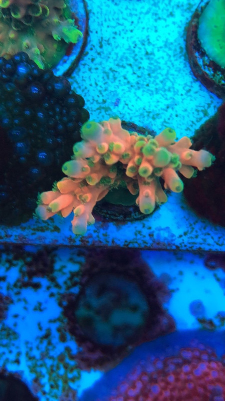 3D6527D2-14EB-4C98-97BC-37B4F4F746F1