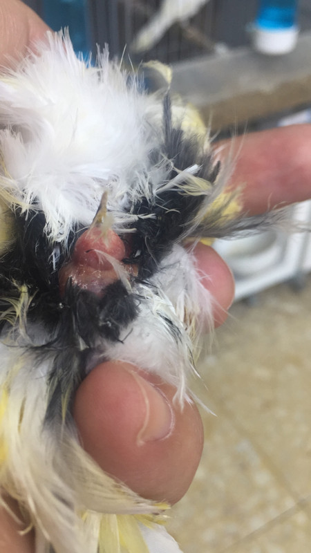 03626F3C-EA3D-4730-89FB-4692E1AB8536