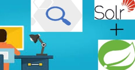 Solr search & querying using java spring boot application