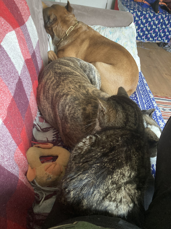 316C4DD6-ECA6-48A2-9646-1C3185AC4EE3