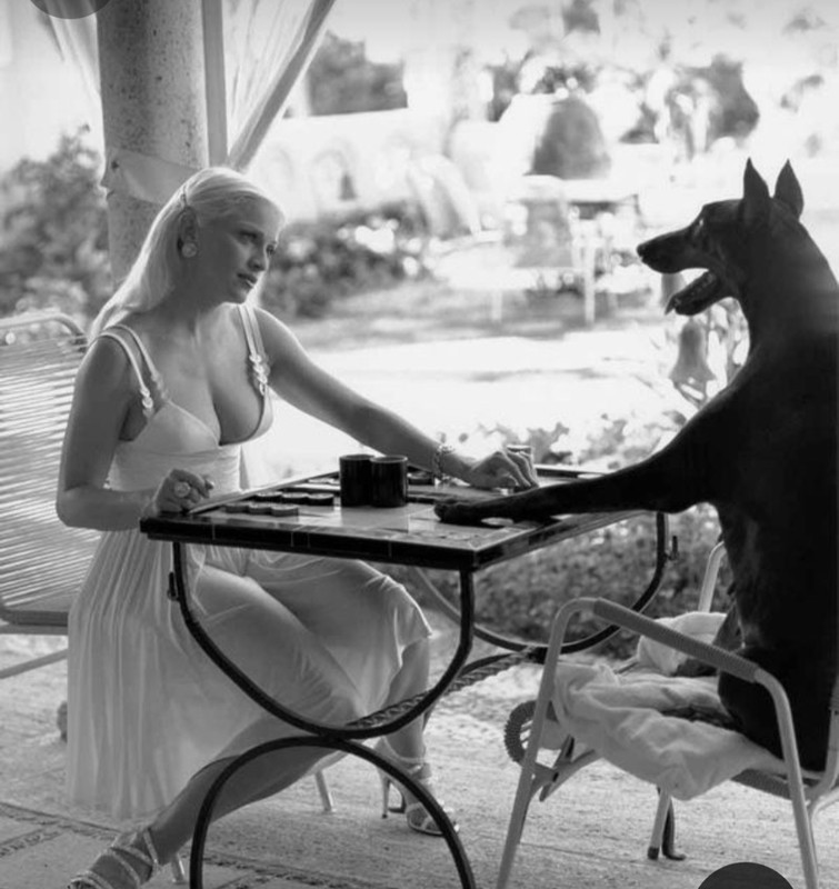 Screenshot_20231201_230514_Pinterest