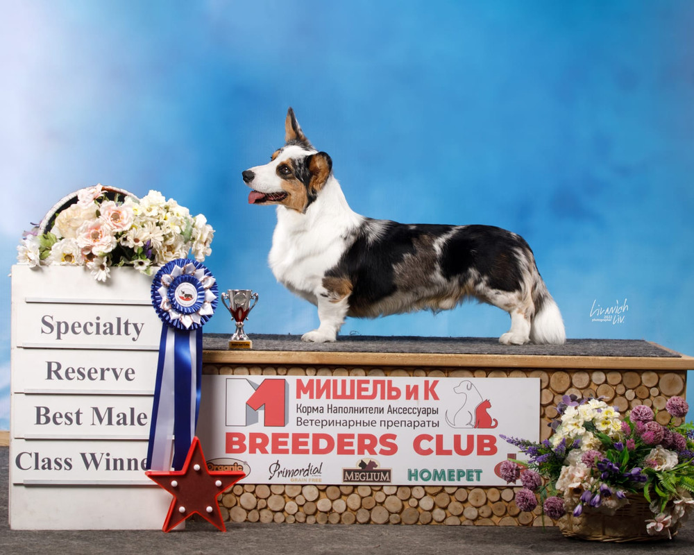 D1FA45B6-32D1-4500-B93F-69081AFB46DE