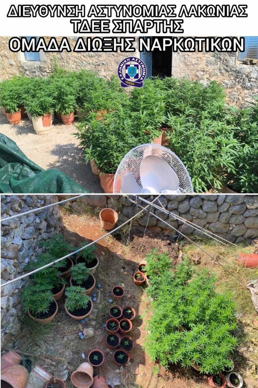 22-6-2025-lakonia-narkwtika-opla-syllipsi-2