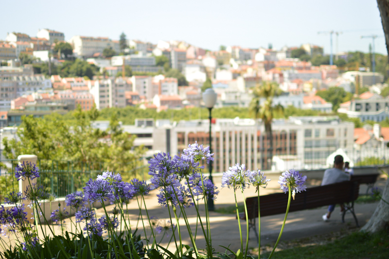 Lisboa en invierno y en primavera - Blogs de Portugal - Día 2: Arroios y Cais de Sodré (10)