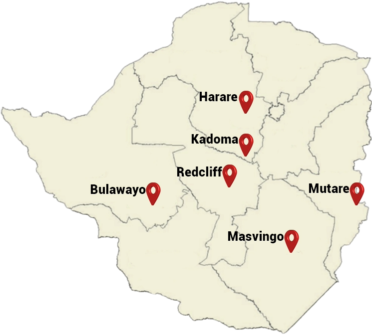 Our Branches