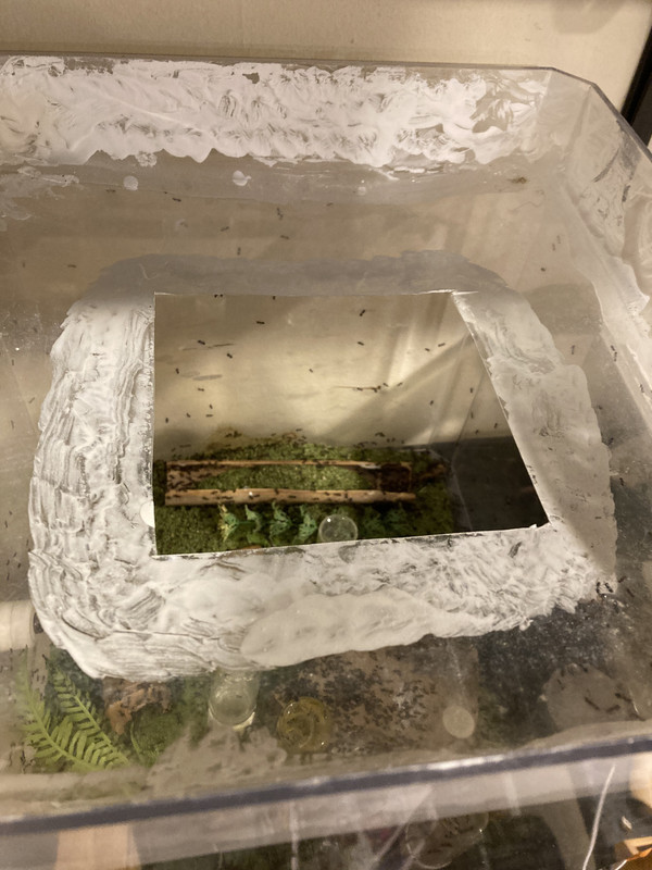 24F97BE6-0DB0-41D7-82CD-910D4B4A4723