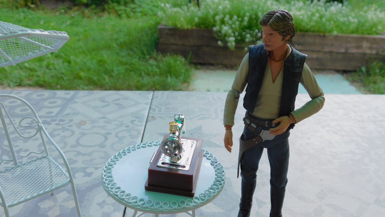 Дачно-Харлинский июнь-июль 2024 109