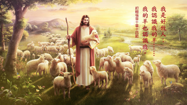 https://i.postimg.cc/T3xs9NxW/bible-verses-shepherds.jpg