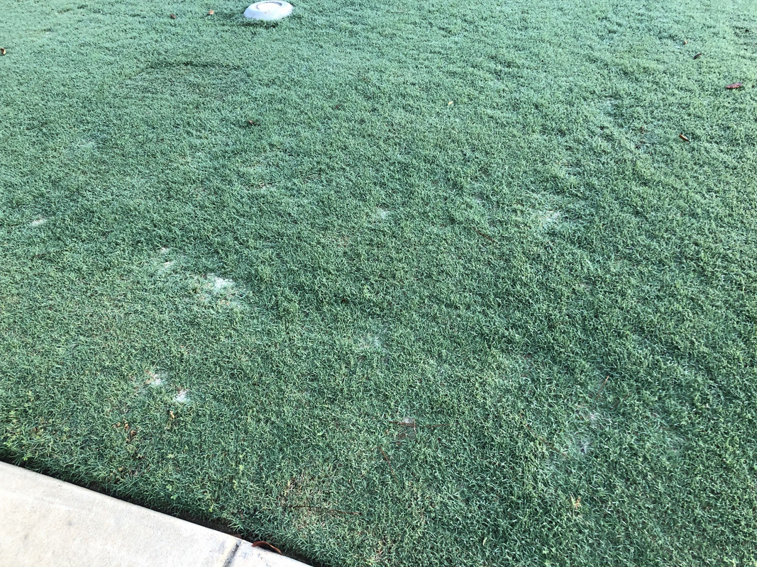 742FFFE0-E88E-425C-A3C5-90E088A51695