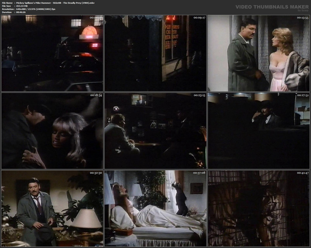 Mickey Spillane's Mike Hammer - S02e08 - The Deadly Prey (1984).mkv
