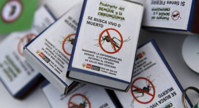 zika9.jpg