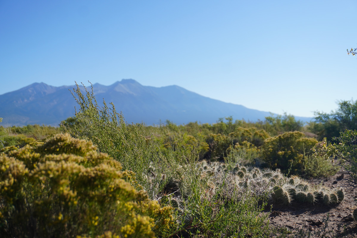 1.27 Acre Off-Grid Lot with Stunning Views – Peaceful Living in Alamosa, CO!