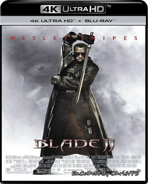 Blade II: Wieczny Łowca / Blade II (2002) MULTI.HDR.2160p.OPEN.MATTE.WEB.DL.DDP-ChrisVPS / LEKTOR i NAPISY