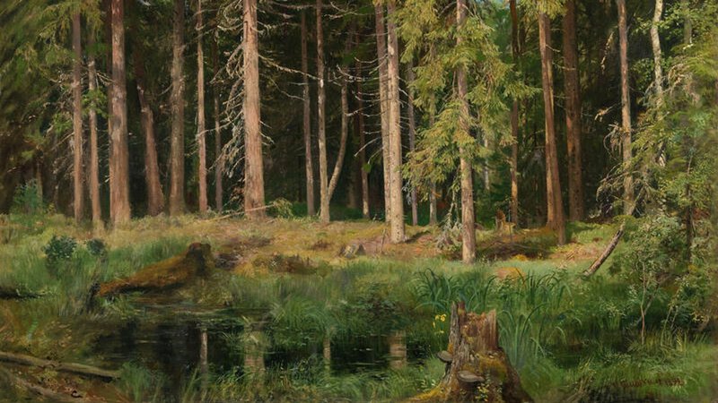 1580066595-0-158-800-608-1920x0-80-0-0-f9ca34c6253122b196d34aba0fd14d05